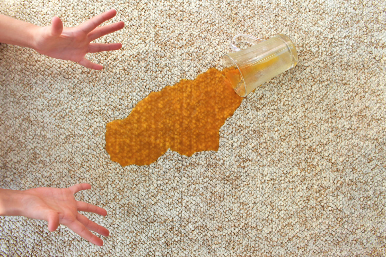 The Hidden Costs of Dirty Carpets in Offices, Restaurants, and Retail Spaces